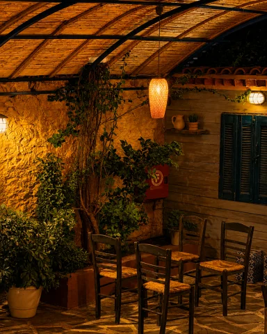 Φωτογραφία από το Πυράμια, 2025